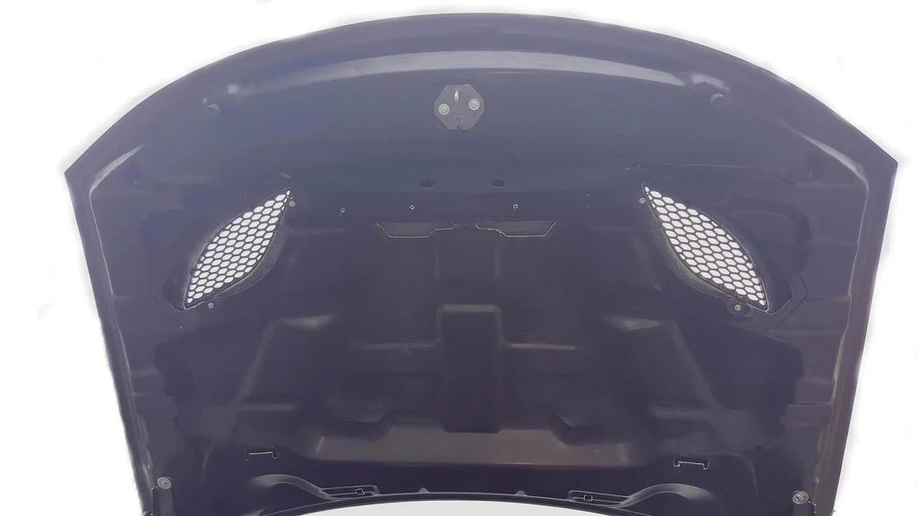 Blackops Autoworks 2015-2023 Dodge Charger Carbon Fiber Hellcat Hood