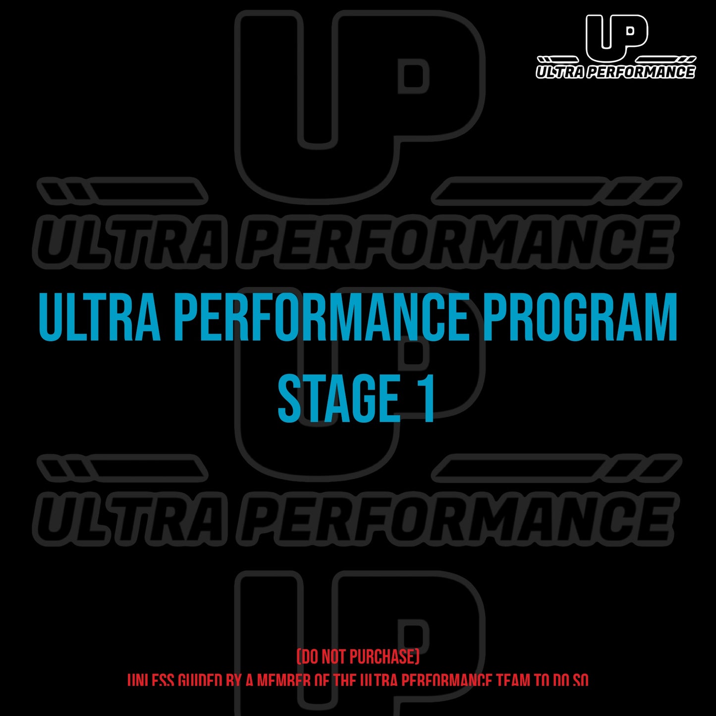 Ultra Performance Stage 1